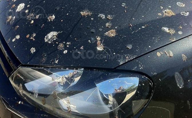 Wax bóng, phủ sáp ôtô: Vũ khí giúp xe giữ Wax bóng, phủ sáp ôtô: Vũ khí giúp xe giữ