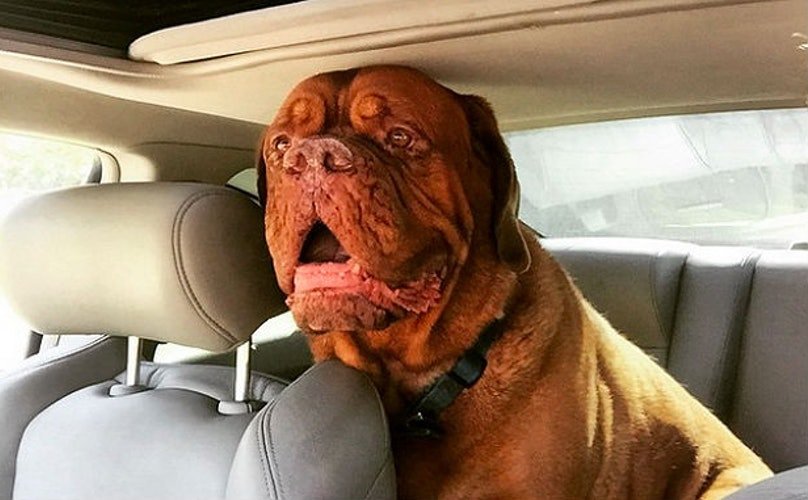 Những quy tắc bắt buộc phải nhớ khi tham gia giao thông- Ảnh 6.