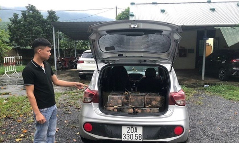 Kiểm tra xe khách, CSGT phát hiện động vật hoang dã - Ảnh 2.