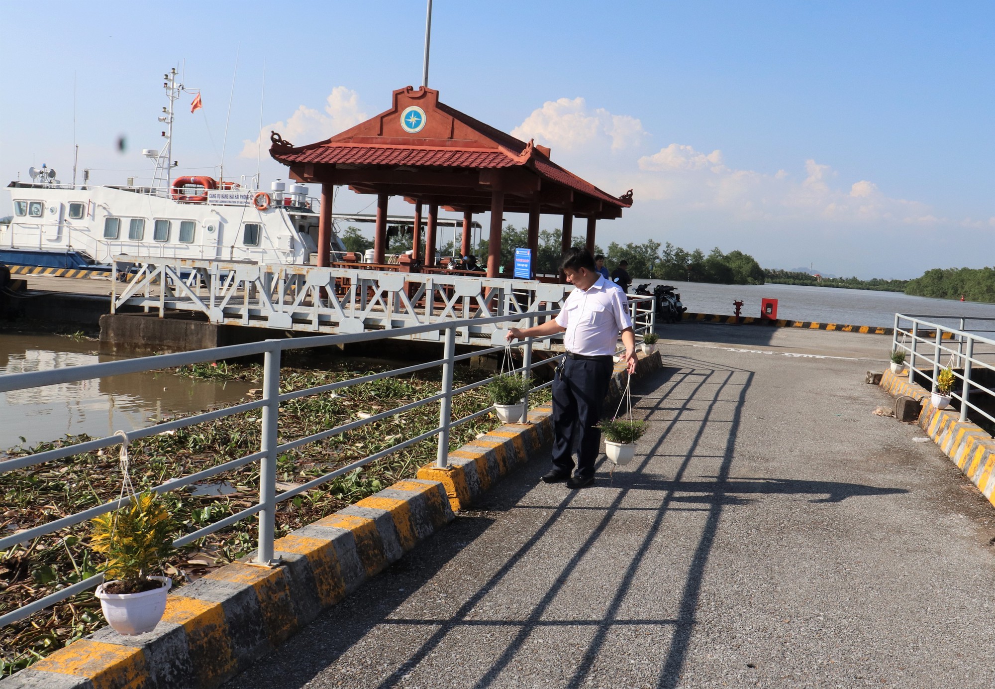 Tuổi trẻ GTVT chung tay xây dựng cầu cảng "Xanh - Sạch - Đẹp" - Ảnh 1.