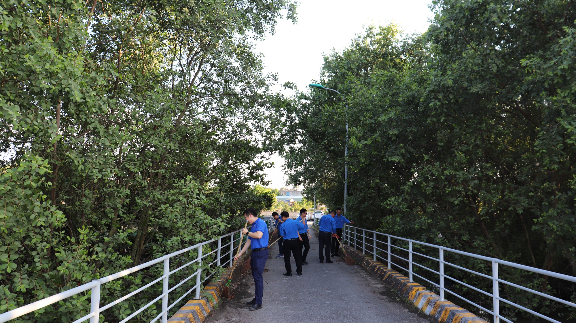 Tuổi trẻ GTVT chung tay xây dựng cầu cảng "Xanh - Sạch - Đẹp" - Ảnh 3.