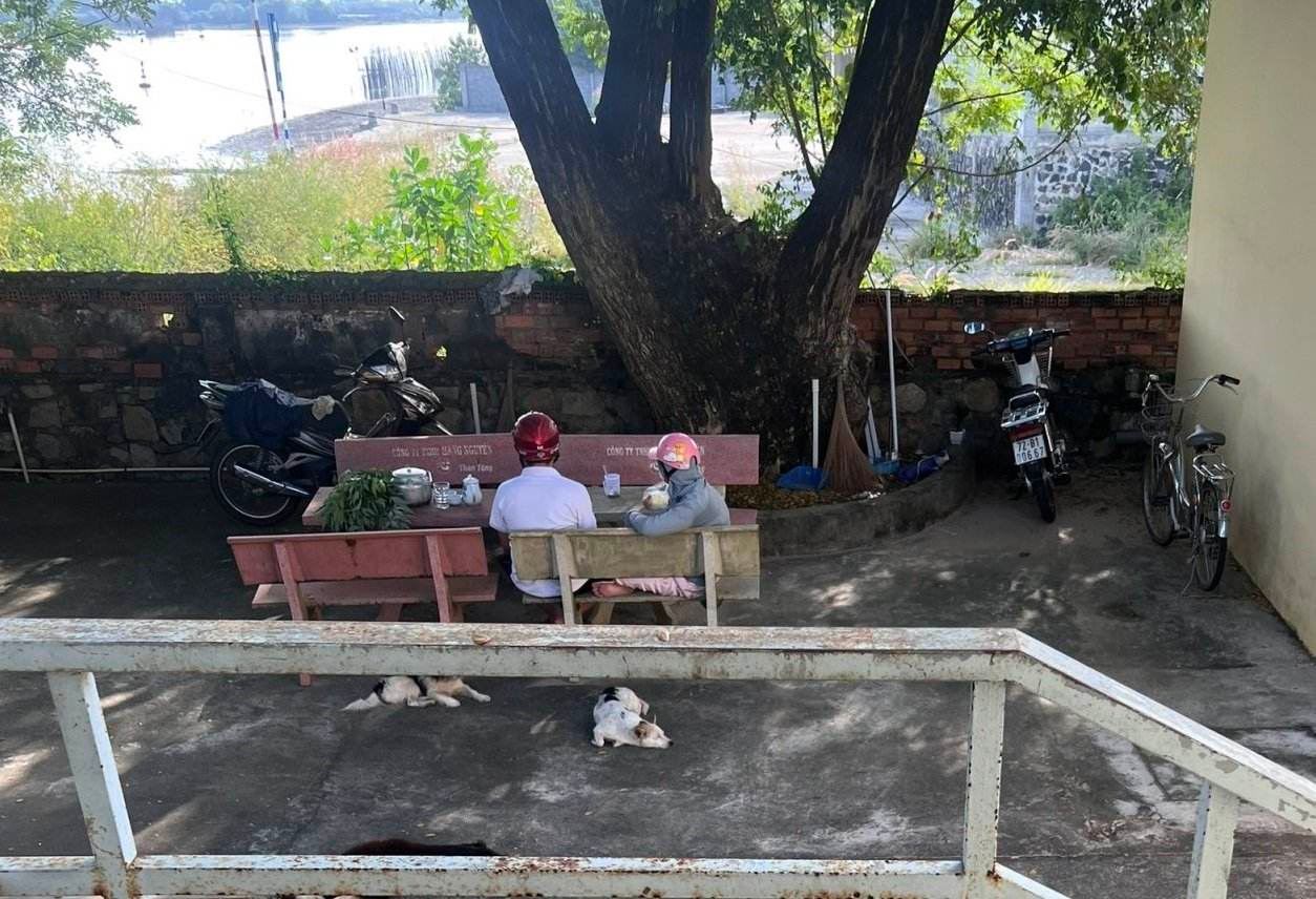 CSGT kịp thời ngăn người phụ nữ nhảy cầu tự tử - Ảnh 1.