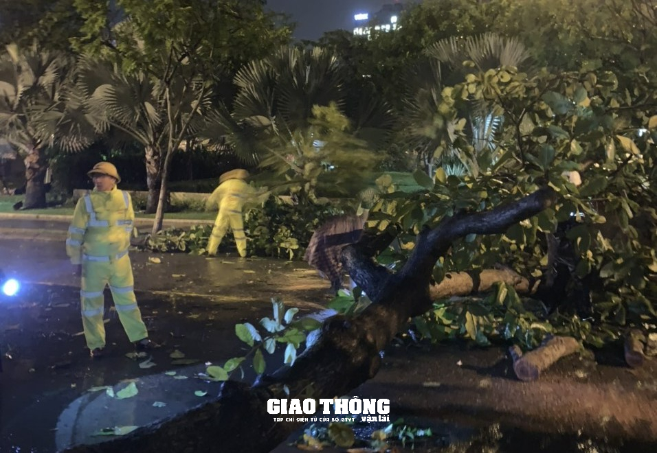 CSGT, Thanh tra GTVT Đà Nẵng, Quảng Nam "trắng đêm" trong mưa bão, dọn cây đổ, hướng dẫn giao thông - Ảnh 12.