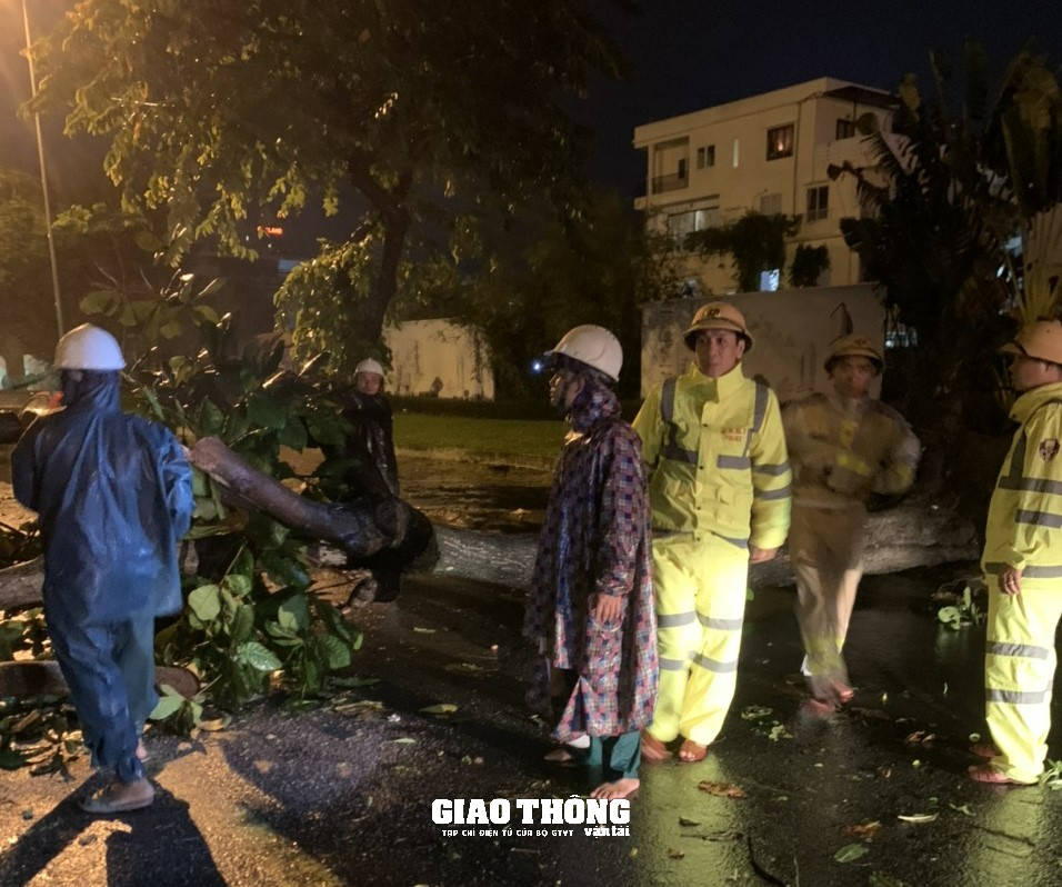 CSGT, Thanh tra GTVT Đà Nẵng, Quảng Nam "trắng đêm" trong mưa bão, dọn cây đổ, hướng dẫn giao thông - Ảnh 9.