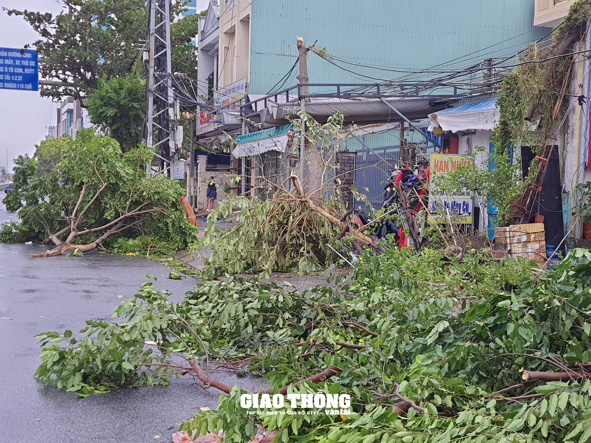 Ghi ở tâm bão Đà Nẵng-Quảng Nam: Cây xanh ngã đổ la liệt, gây ách tắc giao thông - Ảnh 14.