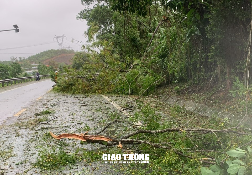 Ghi ở tâm bão Đà Nẵng-Quảng Nam: Cây xanh ngã đổ la liệt, gây ách tắc giao thông - Ảnh 5.
