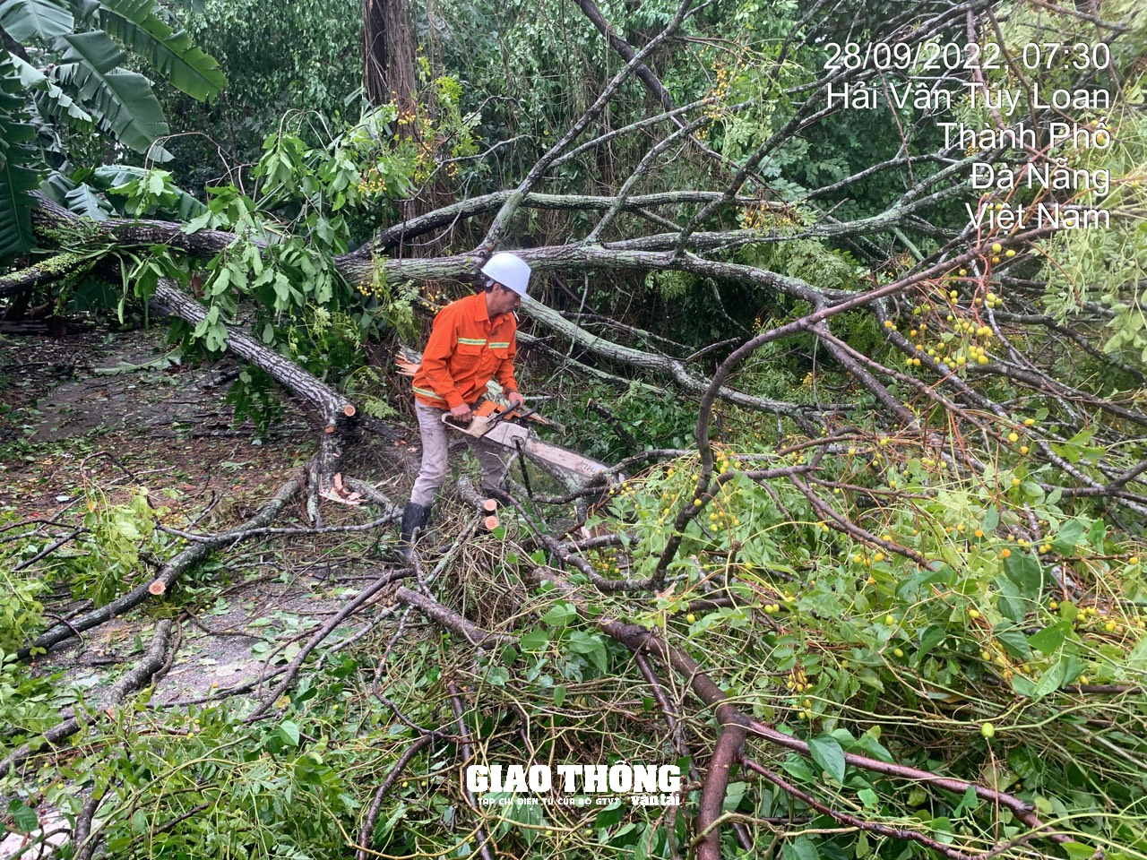 Ghi ở tâm bão Đà Nẵng-Quảng Nam: Cây xanh ngã đổ la liệt, gây ách tắc giao thông - Ảnh 21.