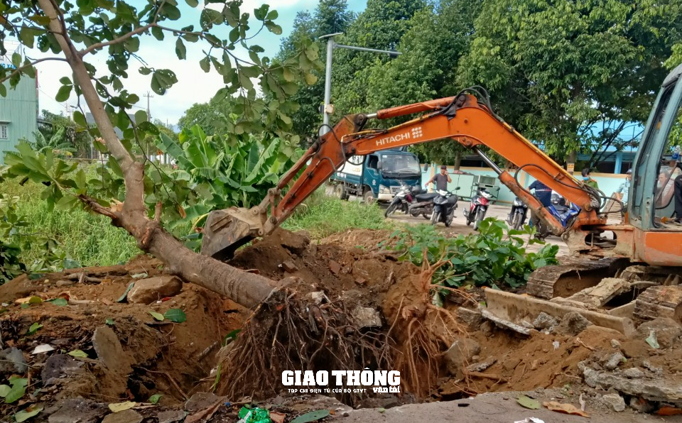 Cận cảnh lực lượng liên ngành Quảng Nam dẹp bỏ bến cóc tại nút giao QL1 và ĐT608 - Ảnh 3.