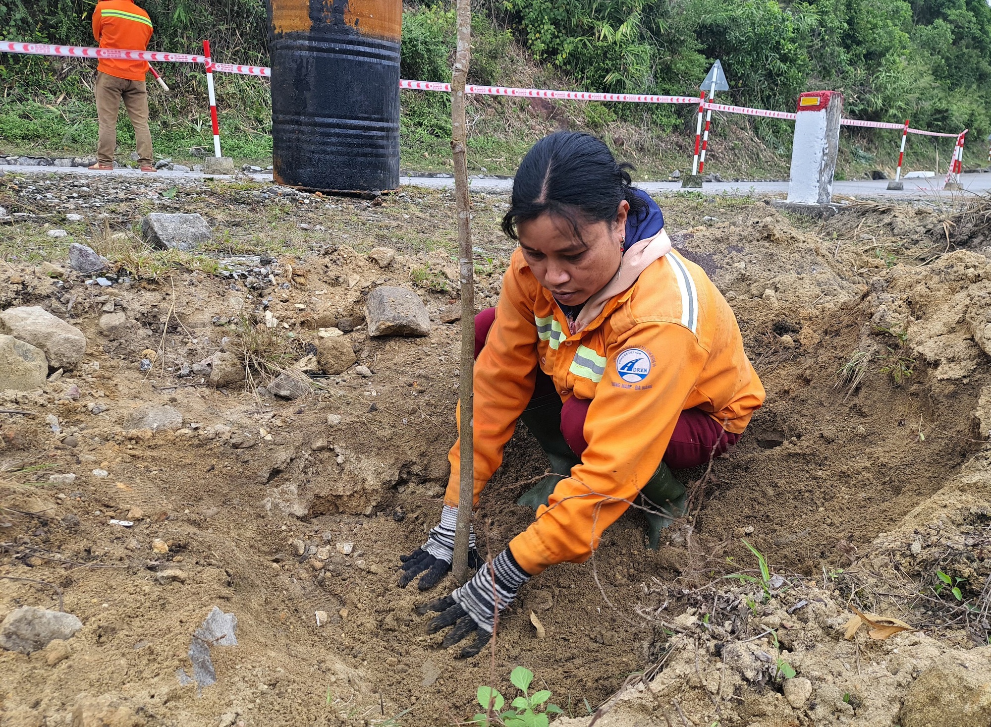 Ông Khuất Việt Hùng: "Trồng cây tuyến đường đèo dốc như hộ lan tự nhiên đảm bảo ATGT" - Ảnh 8. Ông Khuất Việt Hùng: "Trồng cây tuyến đường đèo dốc như hộ lan tự nhiên đảm bảo ATGT" - Ảnh 8.