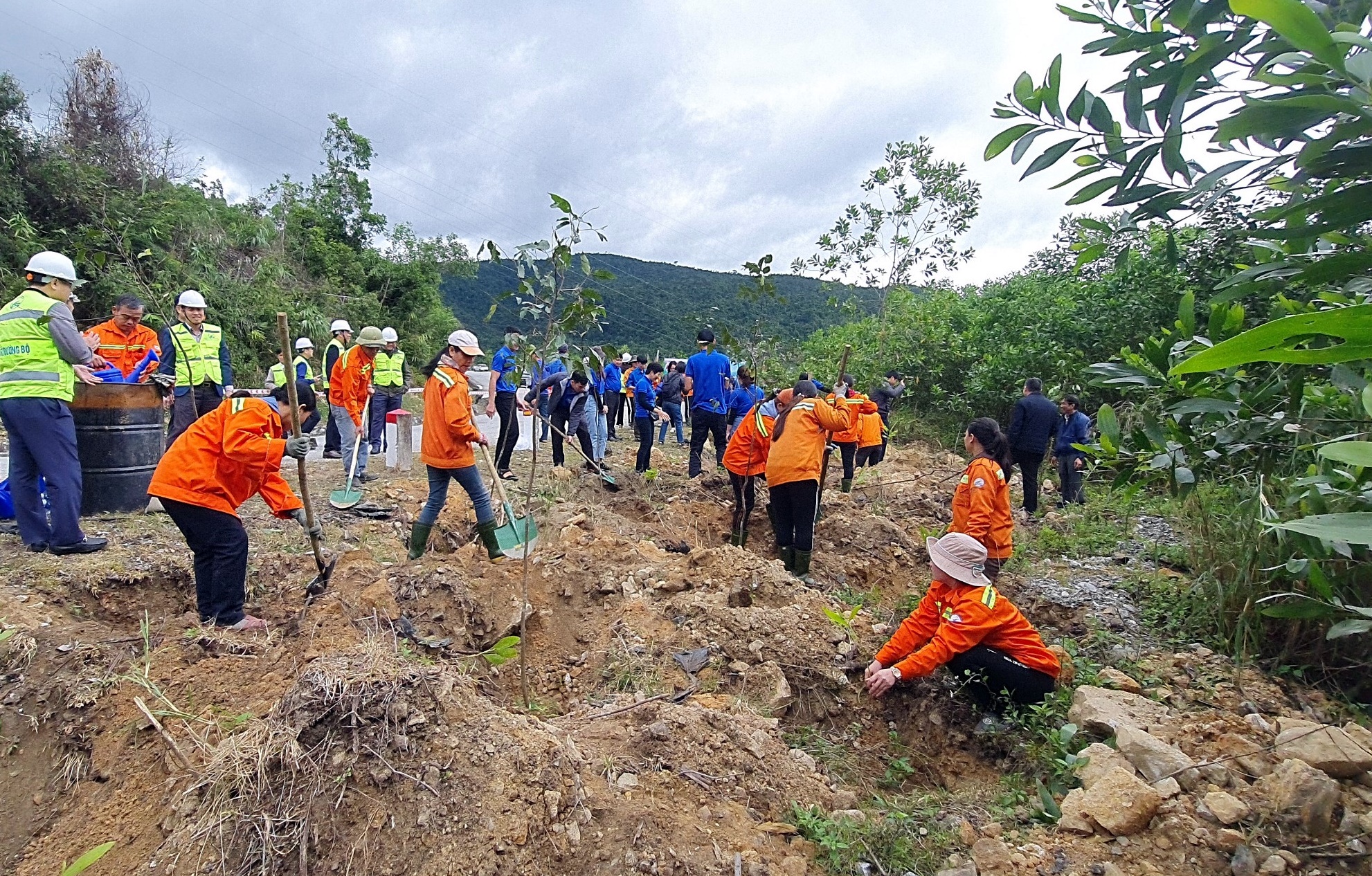 Ông Khuất Việt Hùng: "Trồng cây tuyến đường đèo dốc như hộ lan tự nhiên đảm bảo ATGT" - Ảnh 5. Ông Khuất Việt Hùng: "Trồng cây tuyến đường đèo dốc như hộ lan tự nhiên đảm bảo ATGT" - Ảnh 5.
