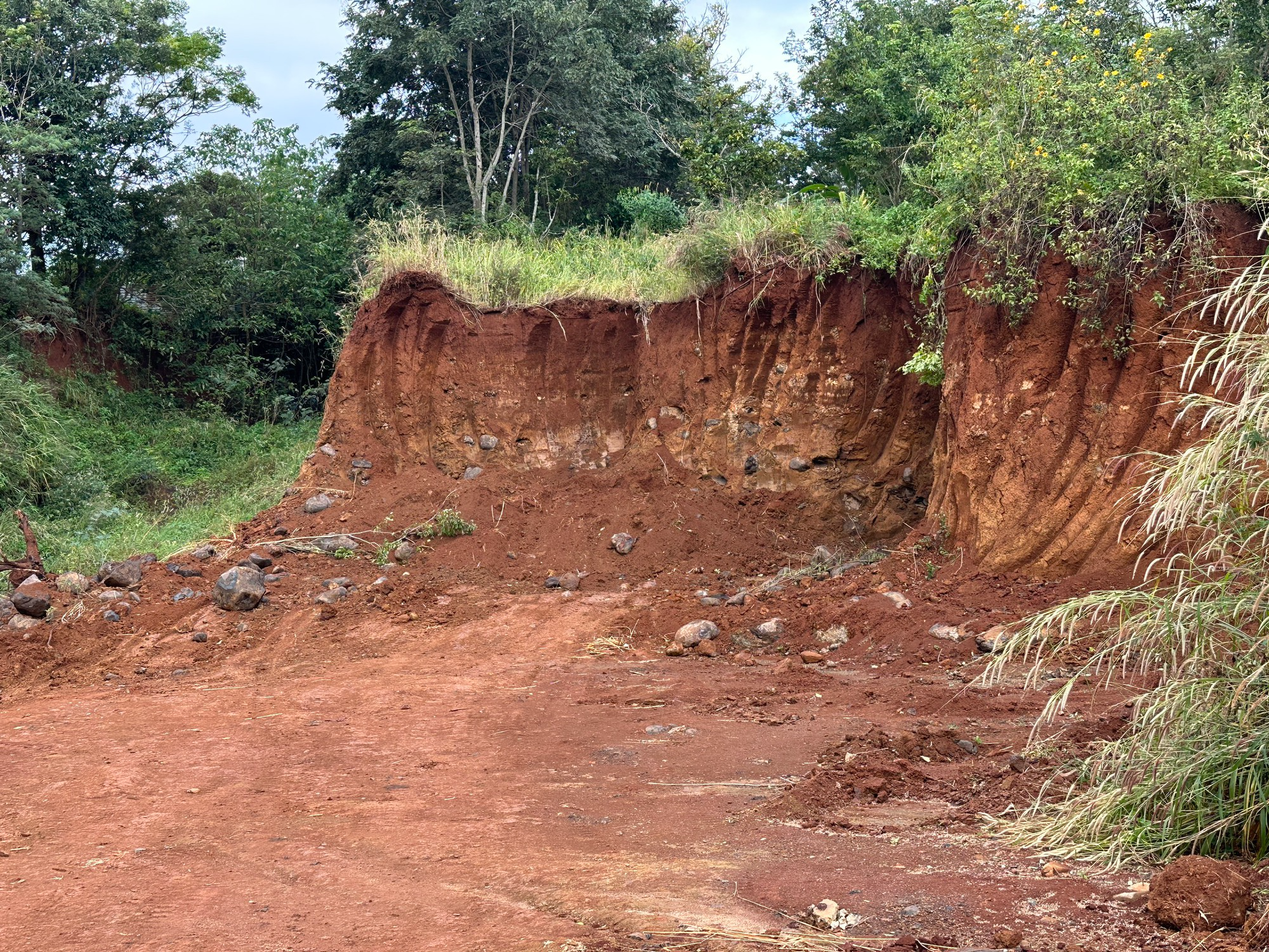 Ngang nhiên khai thác đất trái phép, thách thức cơ quan chức năng ở Đắk Lắk?- Ảnh 7.