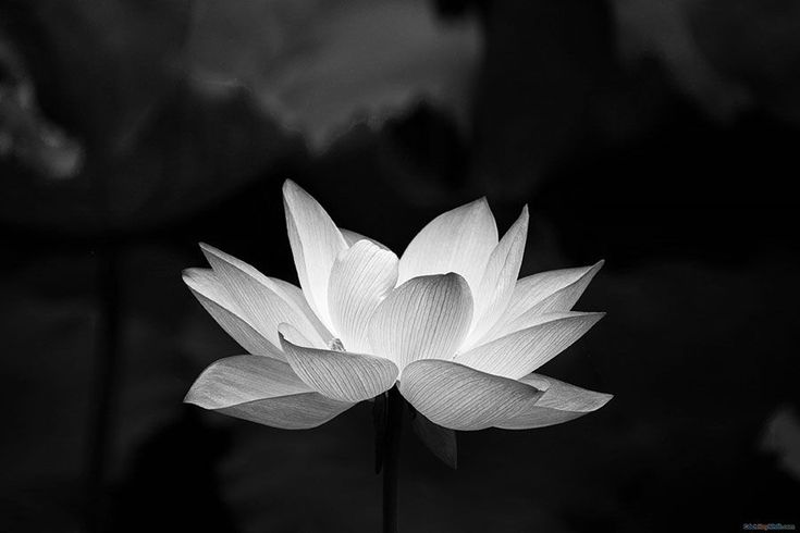 Bộ Giao thông vận tải và gia đình vô cùng thương tiếc báo tin- Ảnh 1. Bộ Giao thông vận tải và gia đình vô cùng thương tiếc báo tin- Ảnh 1.