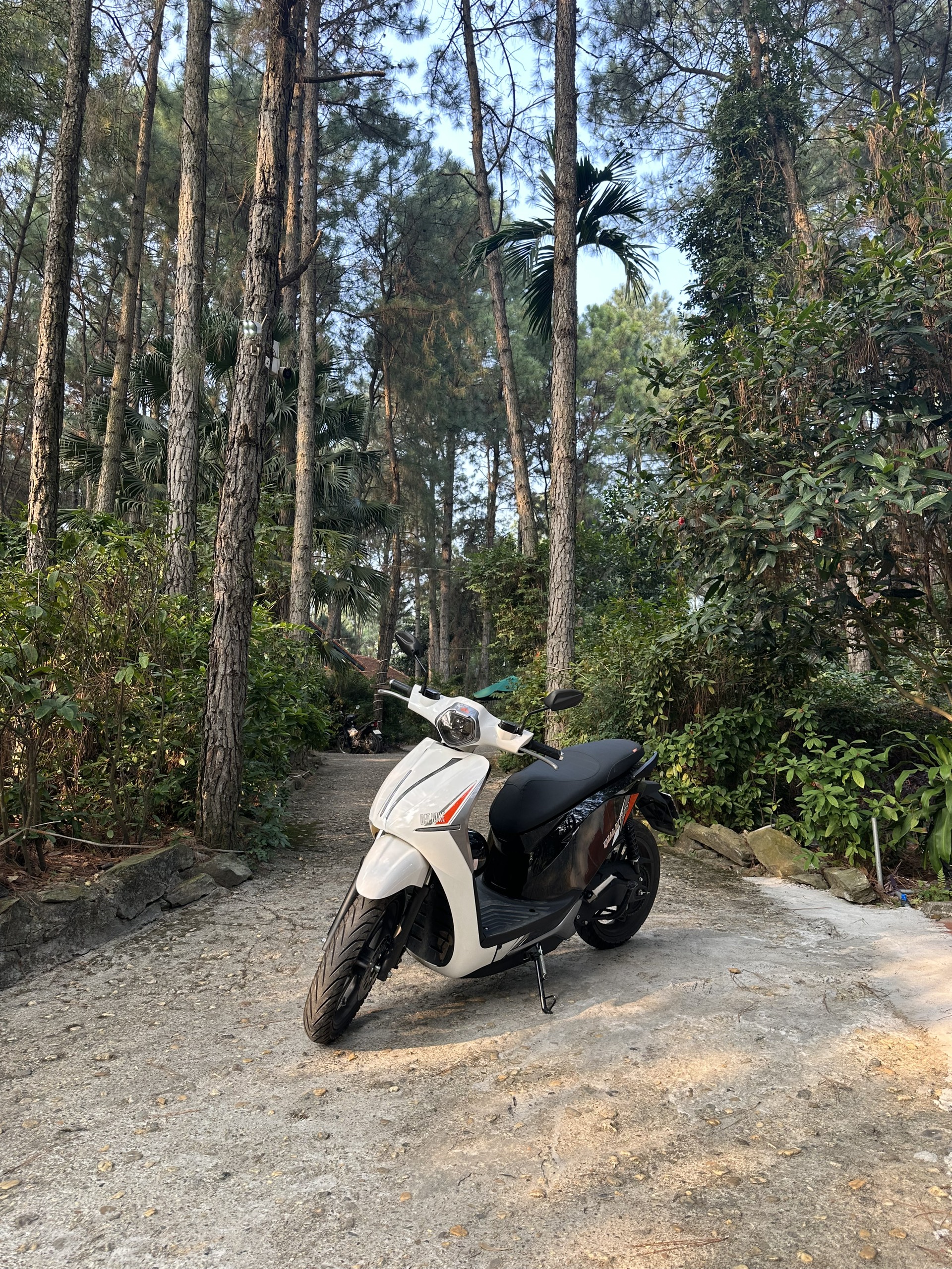 Dat Bike Quantum an toàn hơn trên đường 