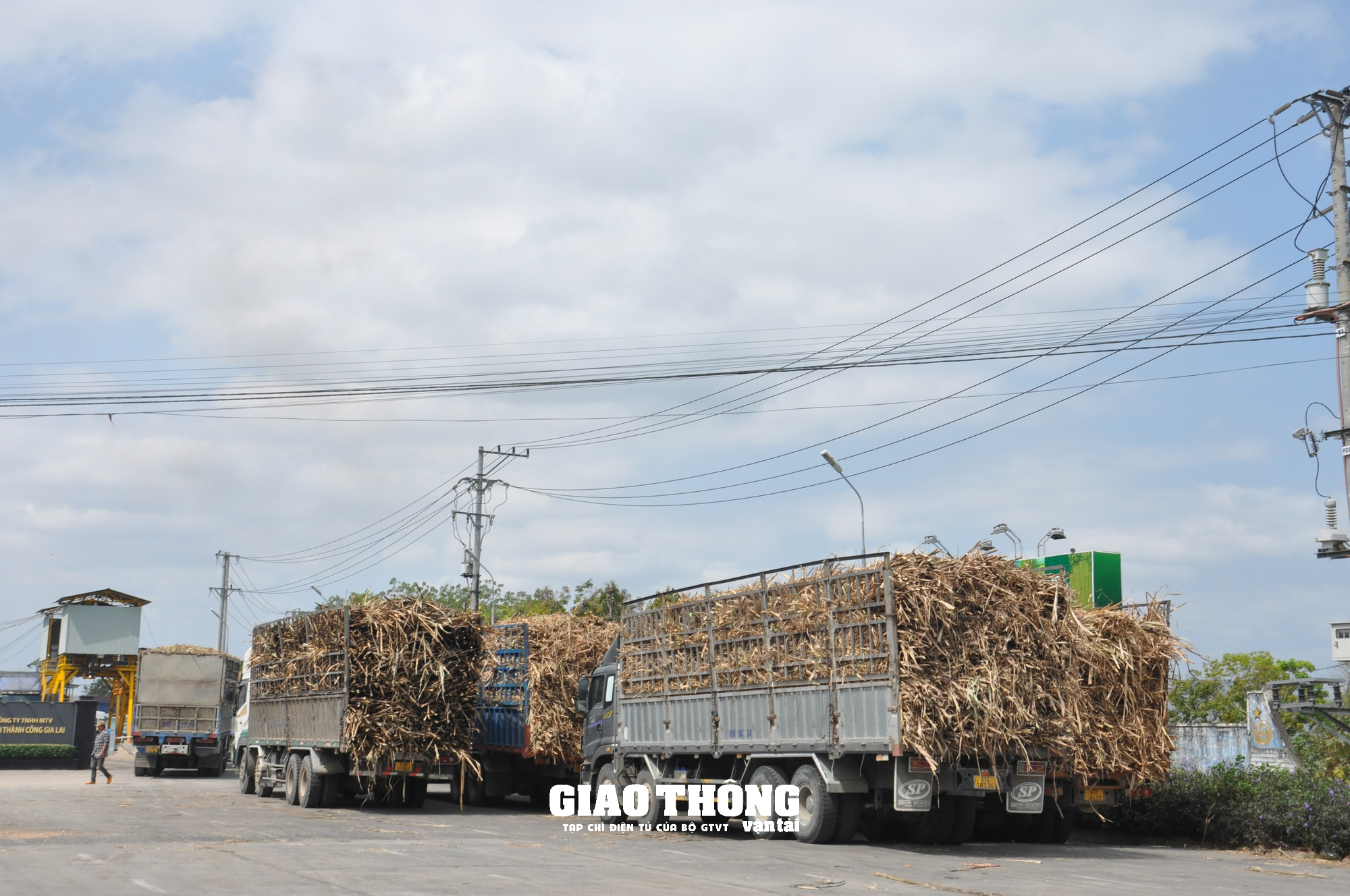 Rùng mình cảnh xe tải chở mía quá khổ, quá tải rầm rập ở Gia Lai - Ảnh 6. Rùng mình cảnh xe tải chở mía quá khổ, quá tải rầm rập ở Gia Lai - Ảnh 6.