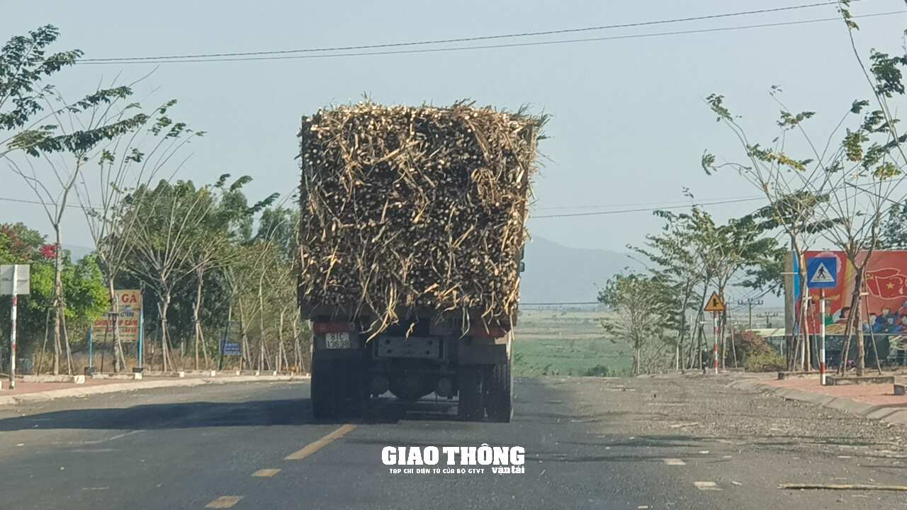 Rùng mình cảnh xe tải chở mía quá khổ, quá tải rầm rập ở Gia Lai - Ảnh 12. Rùng mình cảnh xe tải chở mía quá khổ, quá tải rầm rập ở Gia Lai - Ảnh 12.