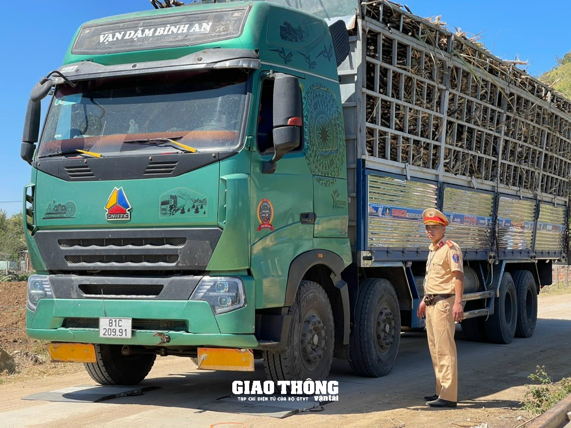 Rùng mình cảnh xe tải chở mía quá khổ, quá tải rầm rập ở Gia Lai - Ảnh 15. Rùng mình cảnh xe tải chở mía quá khổ, quá tải rầm rập ở Gia Lai - Ảnh 15.