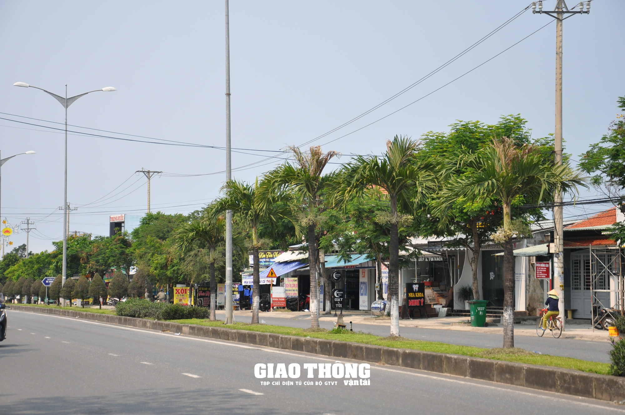 Gói thầu 6 tỷ chăm sóc cây xanh ở Quảng Nam: Chấn chỉnh chủ đầu tư, nhà thầu  - Ảnh 1.