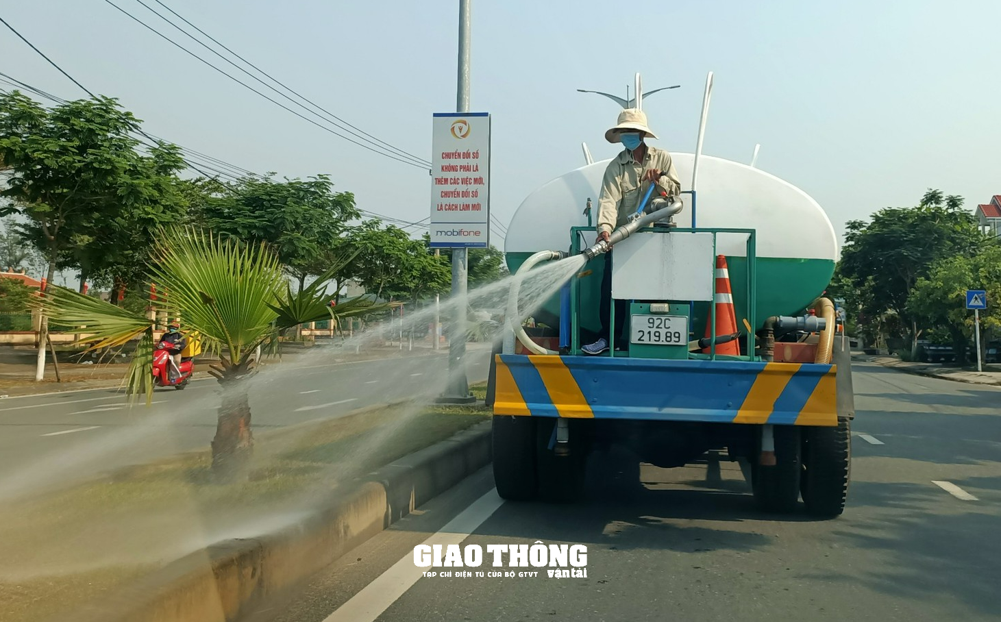 Gói thầu 6 tỷ chăm sóc cây xanh ở Quảng Nam: Chấn chỉnh chủ đầu tư, nhà thầu - Ảnh 2.