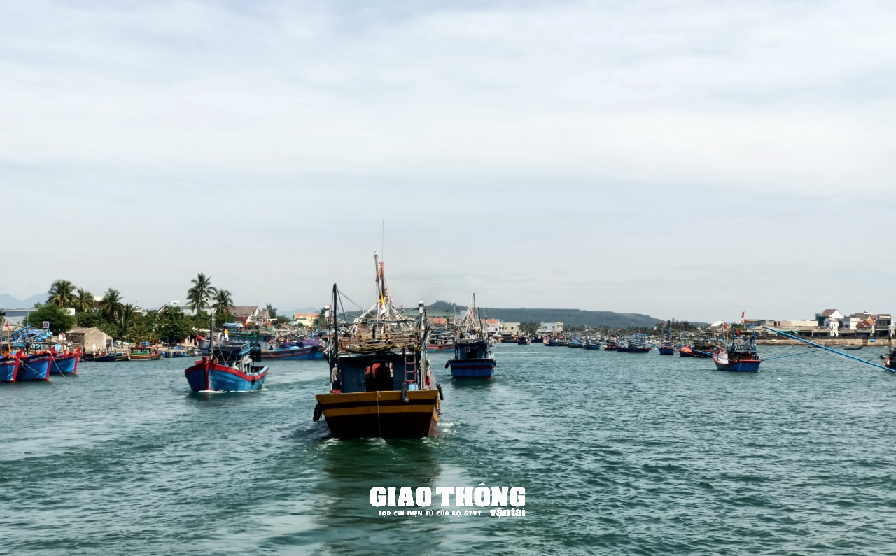 Quảng Ngãi: Luồng cảng Sa Kỳ bị lấn chiếm, uy hiếp an toàn vận tải đường thủy - Ảnh 1.