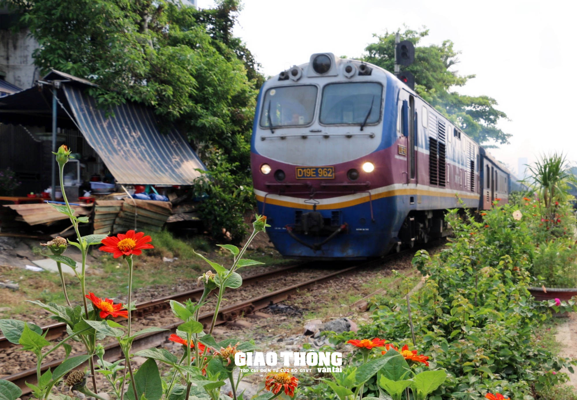 Cận cảnh "Đường tàu, đường hoa" khu vực ga Đà Nẵng - Ảnh 1.