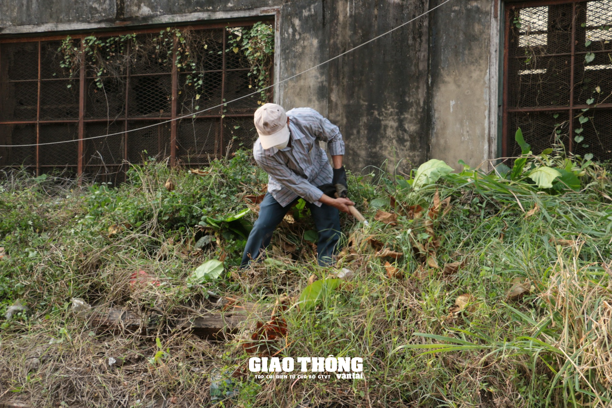 Cận cảnh "Đường tàu, đường hoa" khu vực ga Đà Nẵng - Ảnh 6.