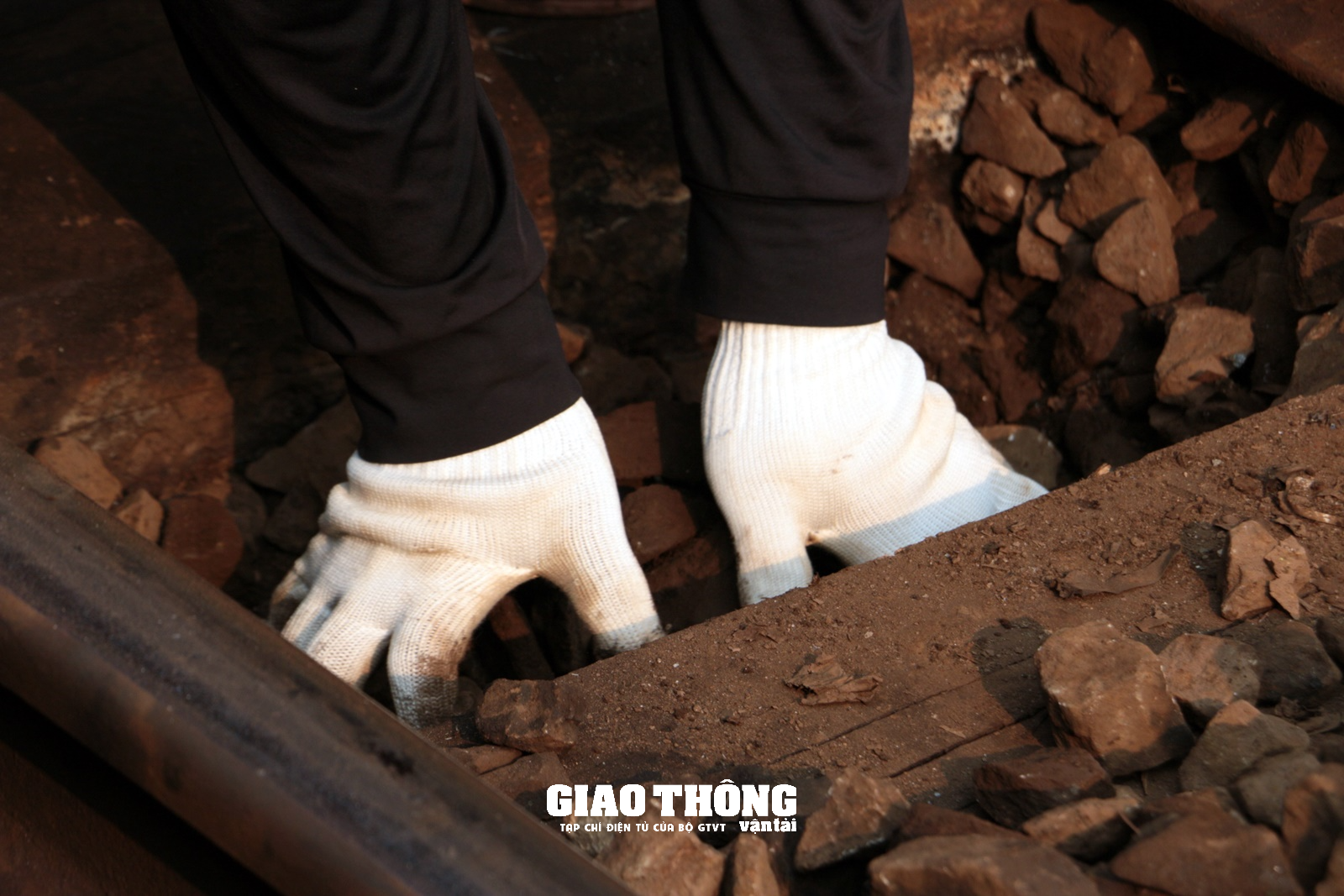 Cận cảnh "Đường tàu, đường hoa" khu vực ga Đà Nẵng - Ảnh 10.