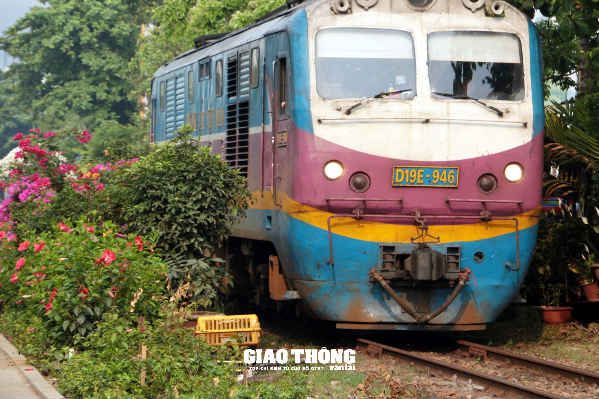 Cận cảnh "Đường tàu, đường hoa" khu vực ga Đà Nẵng - Ảnh 12.