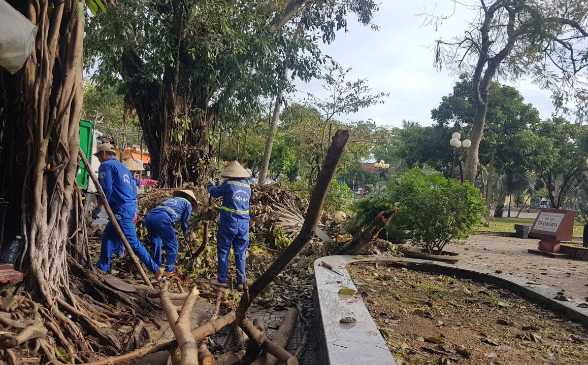 Đấu thầu cây xanh, điện chiếu sáng ở Hội An: Nhà thầu "tố" đơn vị mời thầu không minh bạch? - Ảnh 1.