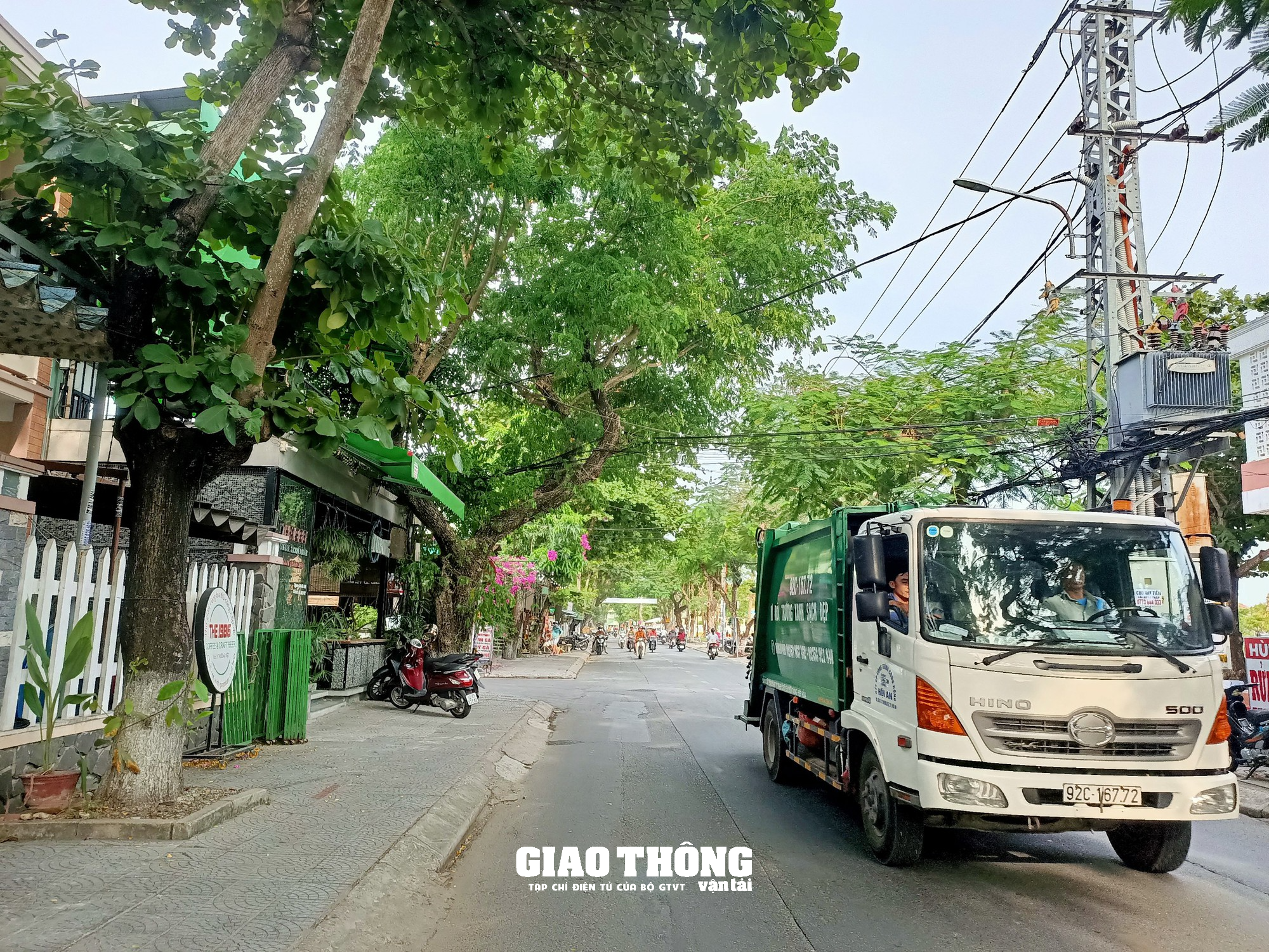 Đấu thầu cây xanh, điện chiếu sáng ở Hội An: Nhà thầu "tố" đơn vị mời thầu vi phạm quy định đấu thầu? - Ảnh 2.