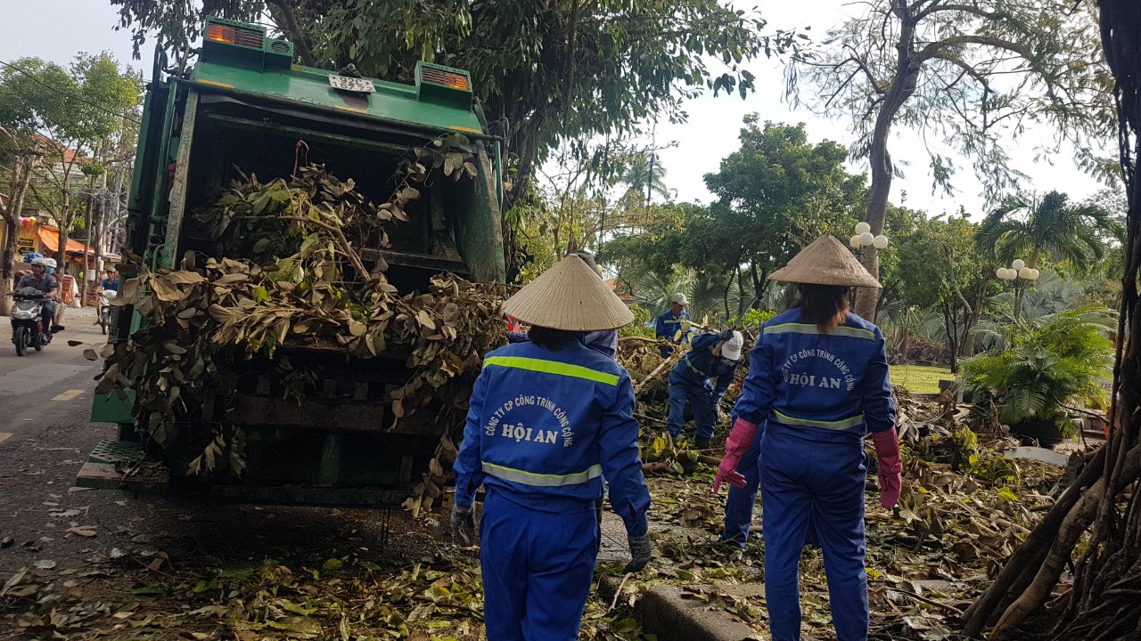 Vụ đấu thầu cây xanh, điện chiếu sáng ở Hội An: Góc nhìn pháp lý thế nào? - Ảnh 1. Vụ đấu thầu cây xanh, điện chiếu sáng ở Hội An: Góc nhìn pháp lý thế nào? - Ảnh 1.