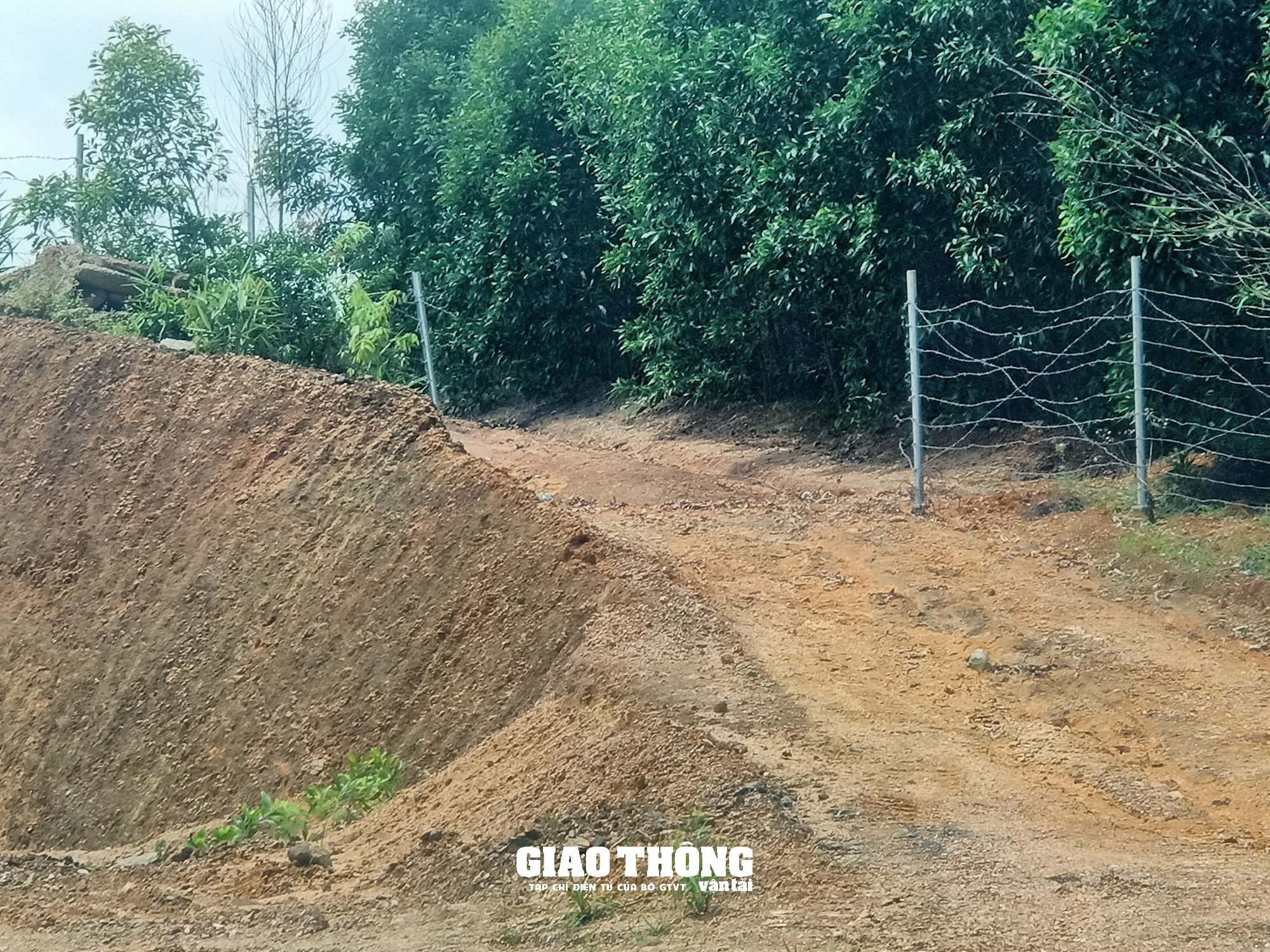 Báo động nạn tháo dỡ rào chắn tuyến cao tốc Cam Lộ-La Sơn - Ảnh 6.