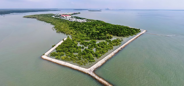 Làm rõ nhiều vấn đề đặt ra đối với "siêu cảng" Cần Giờ

 - Ảnh 2.