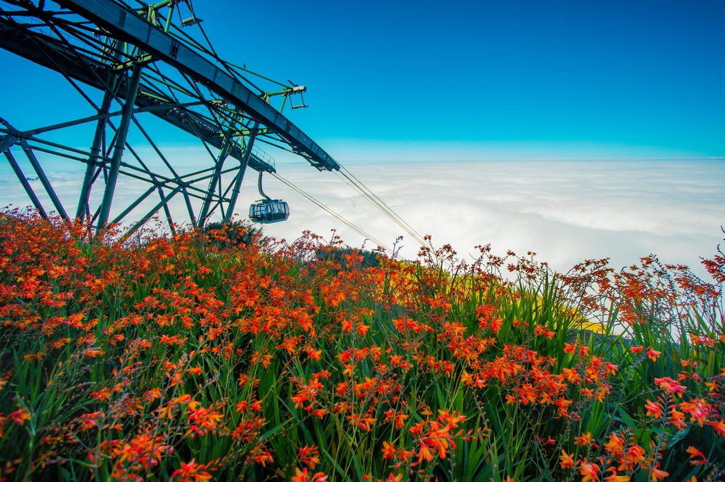 Độc đáo chương trình thao diễn ngựa “Hào khí Tây Bắc” tại Sun World Fansipan Legend tới hết 29/7 - Ảnh 8.