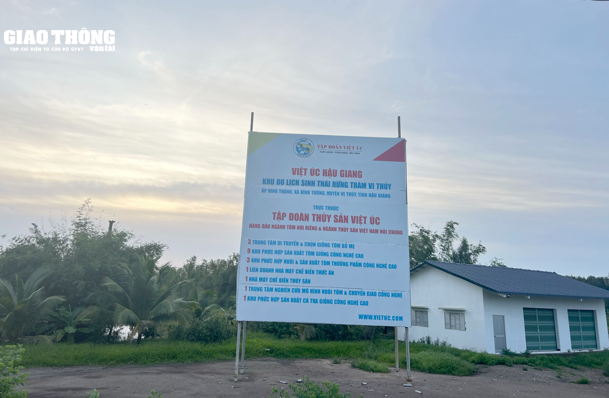 Cao tốc Cần Thơ - Hậu Giang đang thi công thế nào? - Ảnh 16.