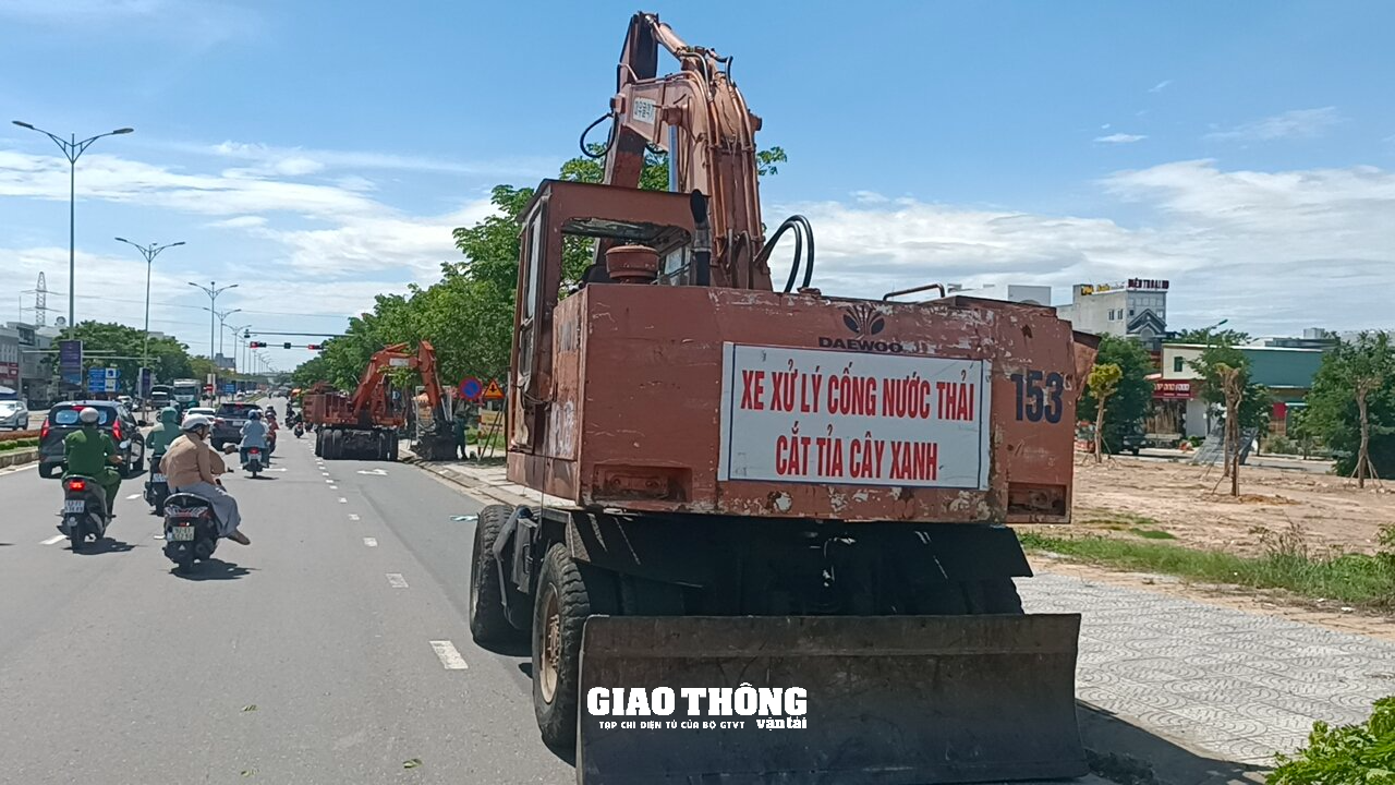 Chuyện lạ sử dụng xe múc nâng hạ người cắt tỉa cây xanh ở Đà Nẵng - Ảnh 1.