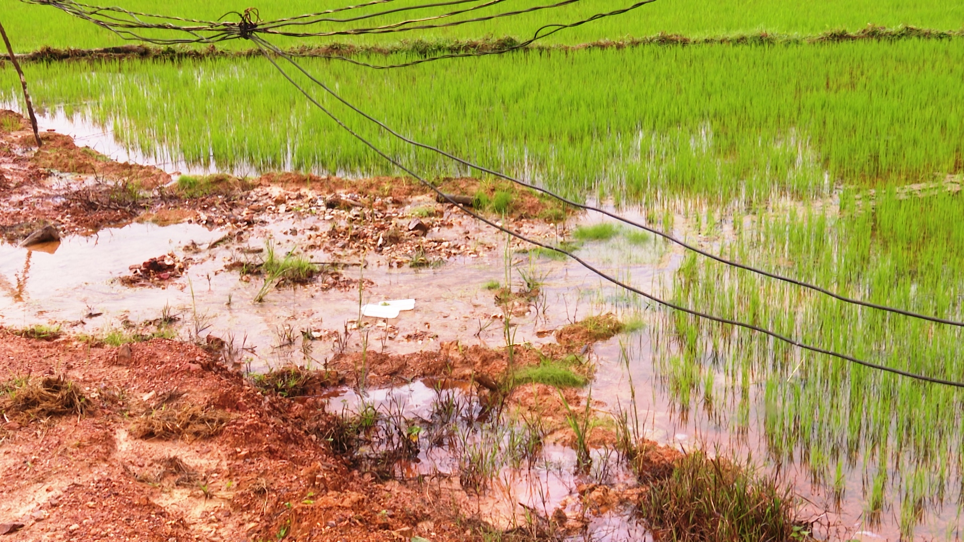 Quảng Nam: Thi công đường 