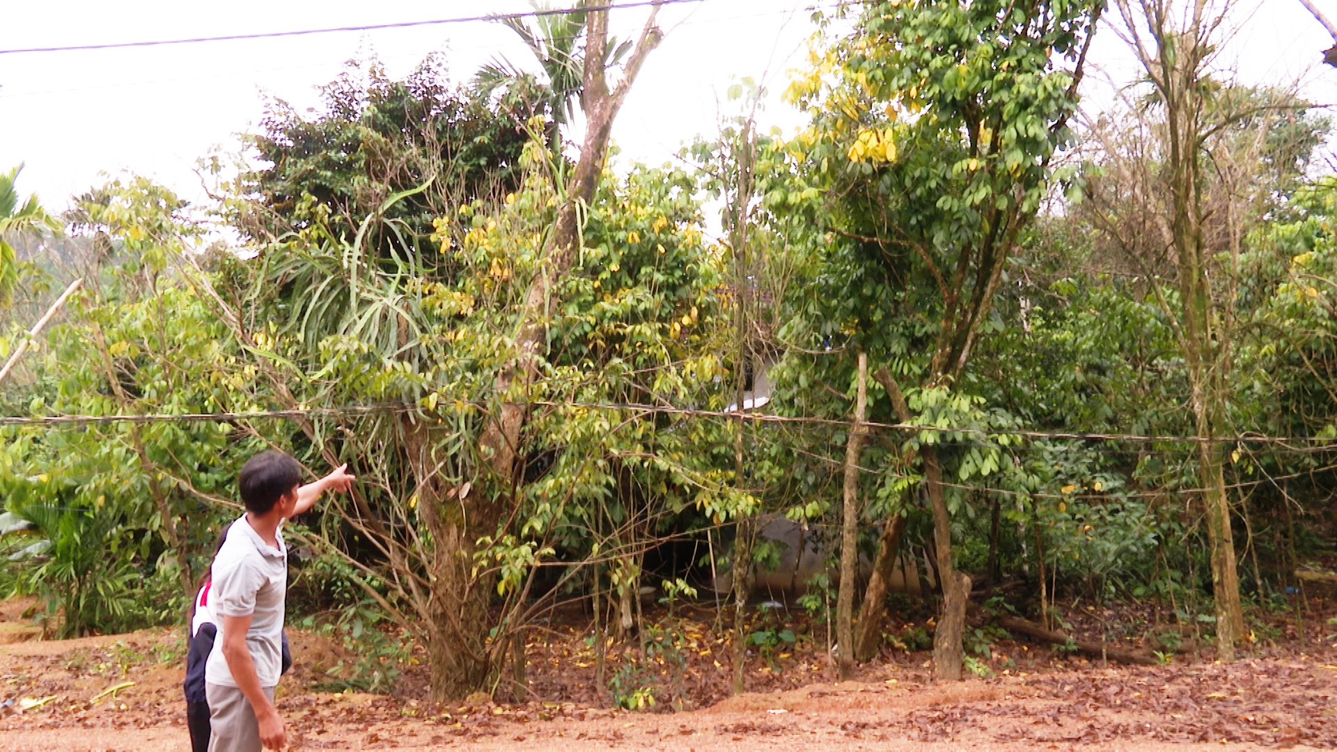 Quảng Nam: Thi công đường 