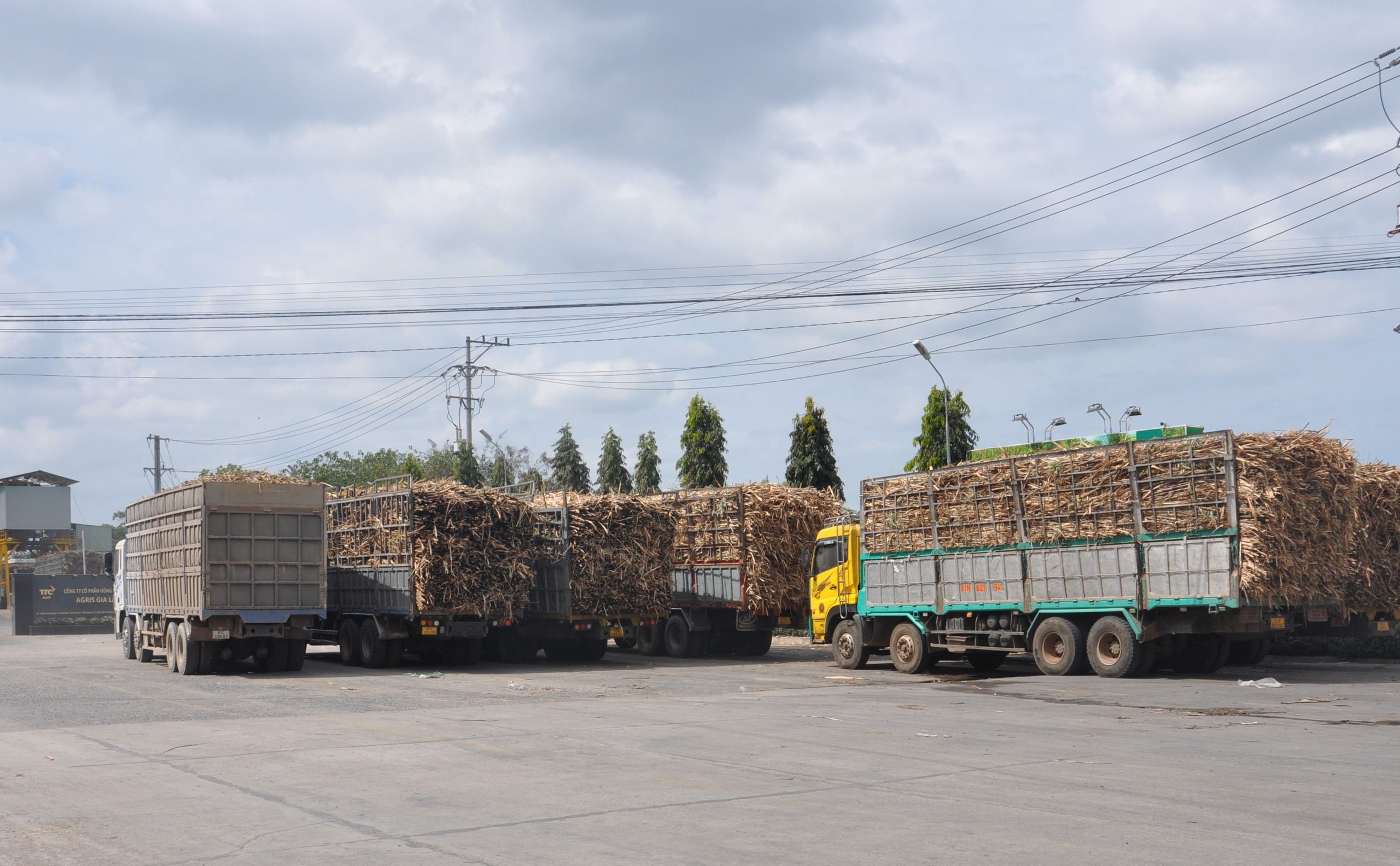 Giải pháp kiềm chế xe chở mía quá khổ, quá tải ở Gia Lai- Ảnh 18.