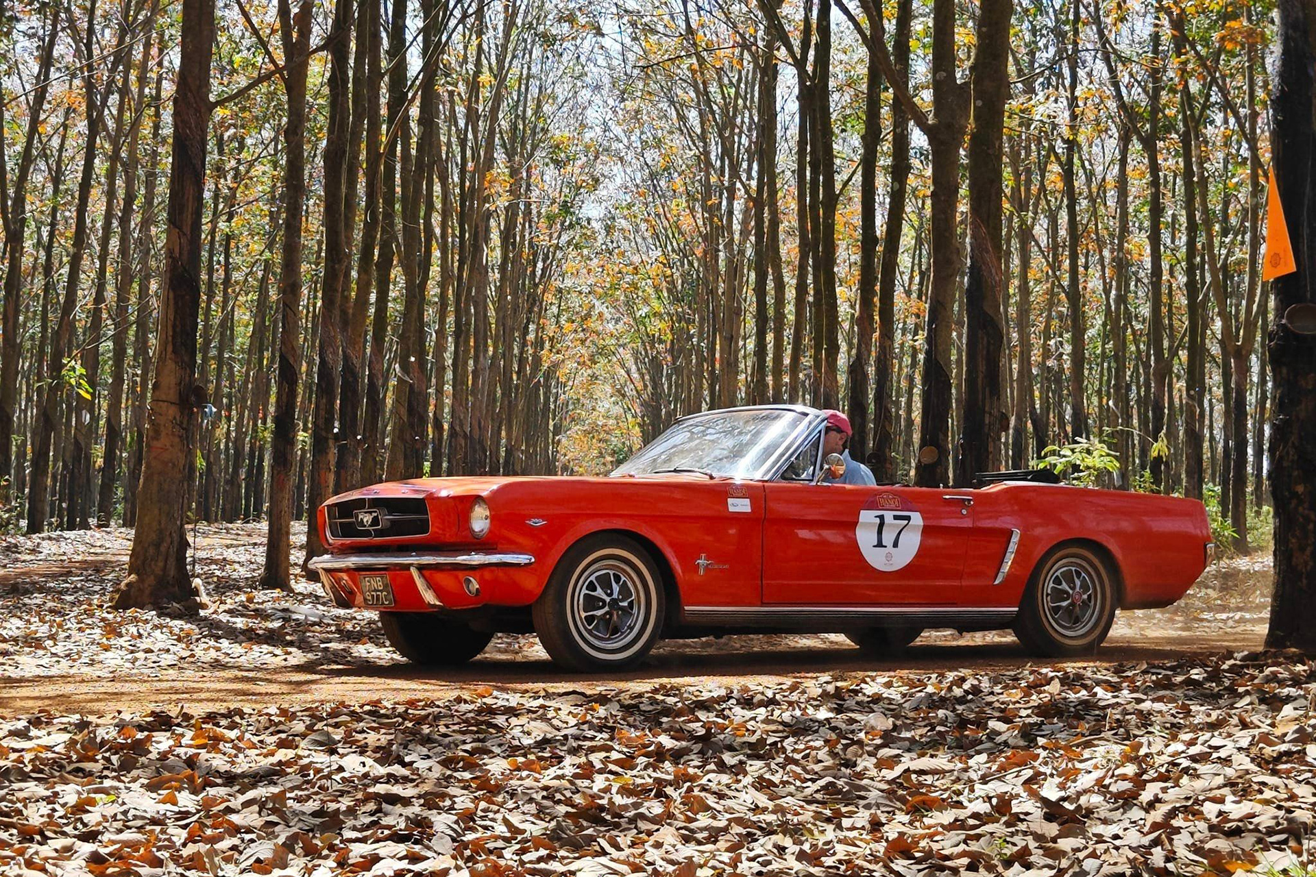 Dàn xe cổ phượt hàng hiếm tại Việt Nam- Ảnh 6.