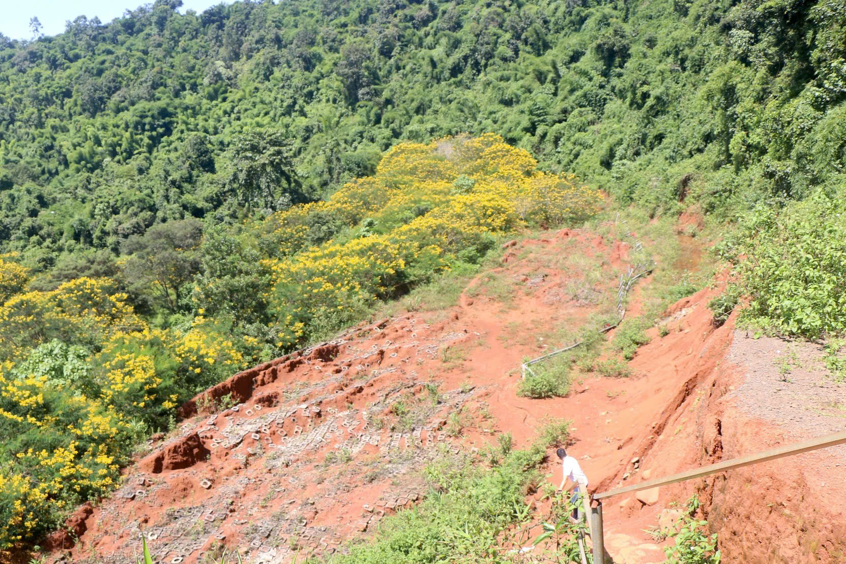 Xót cảnh hoang tàn dự án đường vào khu du lịch gần 27 tỷ đồng ở Đắk Nông phải dừng thi công- Ảnh 2.