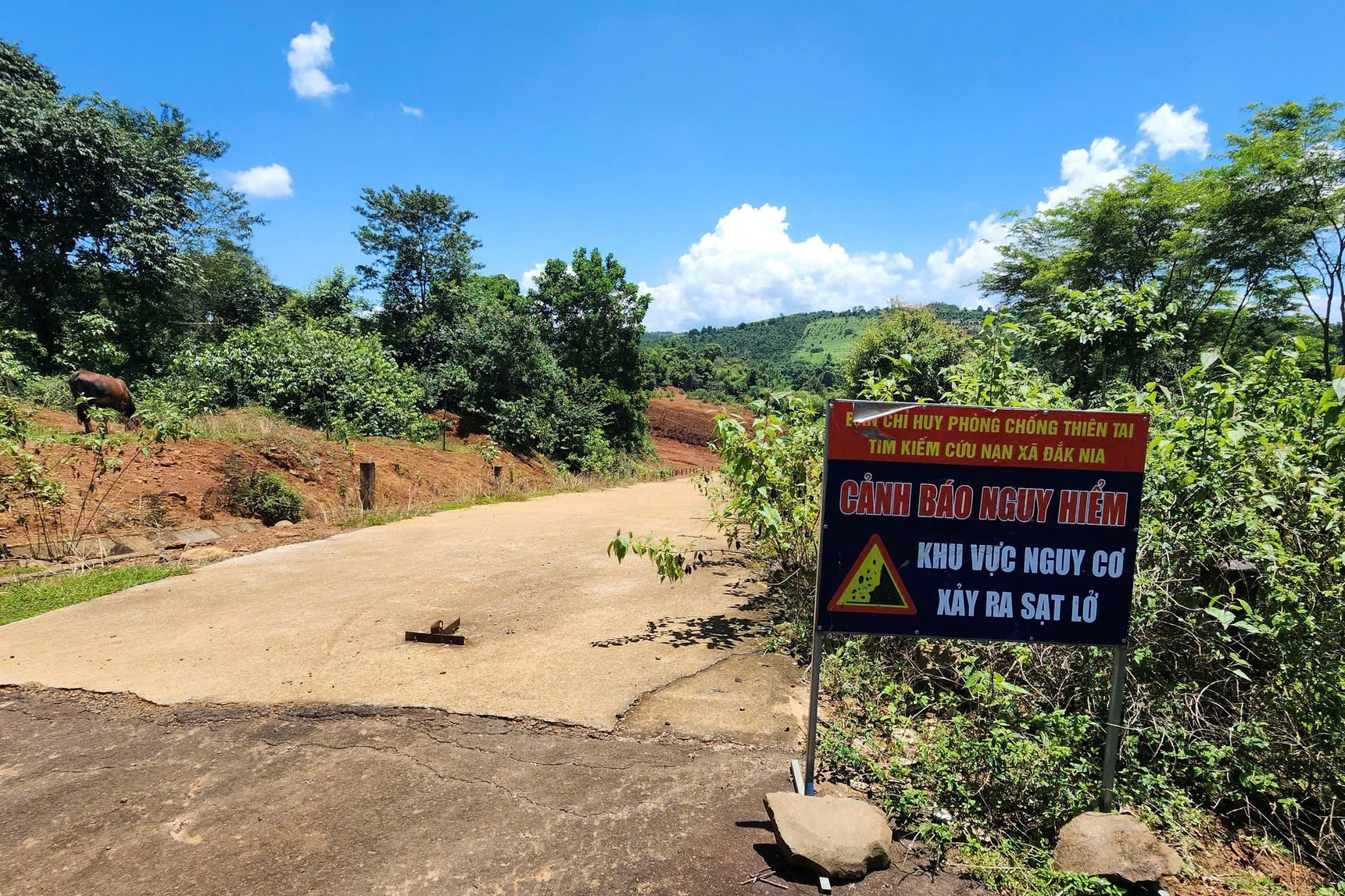 Xót cảnh hoang tàn dự án đường vào khu du lịch gần 27 tỷ đồng ở Đắk Nông phải dừng thi công- Ảnh 7.