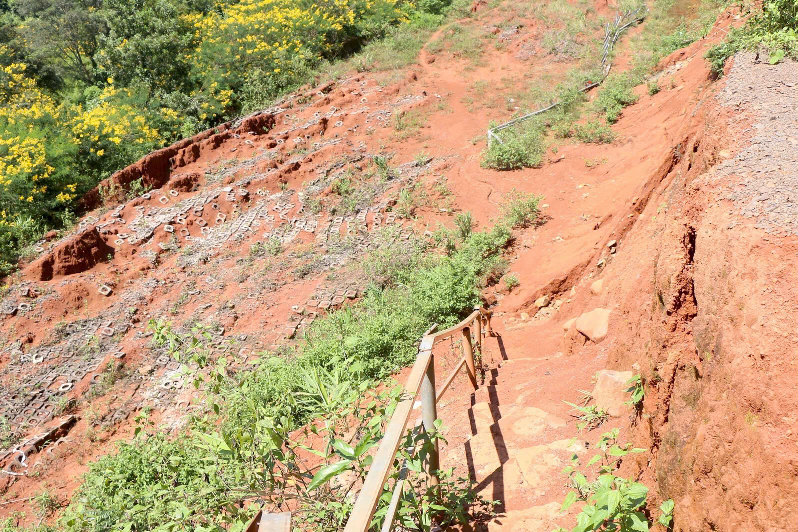 Xót cảnh hoang tàn dự án đường vào khu du lịch gần 27 tỷ đồng ở Đắk Nông phải dừng thi công- Ảnh 6.