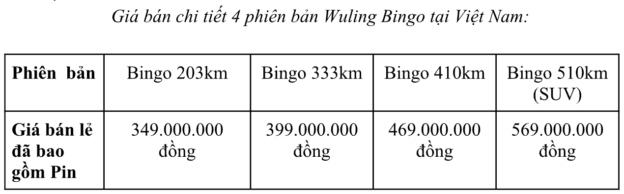 Giá cao, không trạm sạc khiến Wuling Bingo bị nhiều người dùng Việt quay lưng khi vừa ra mắt- Ảnh 2.