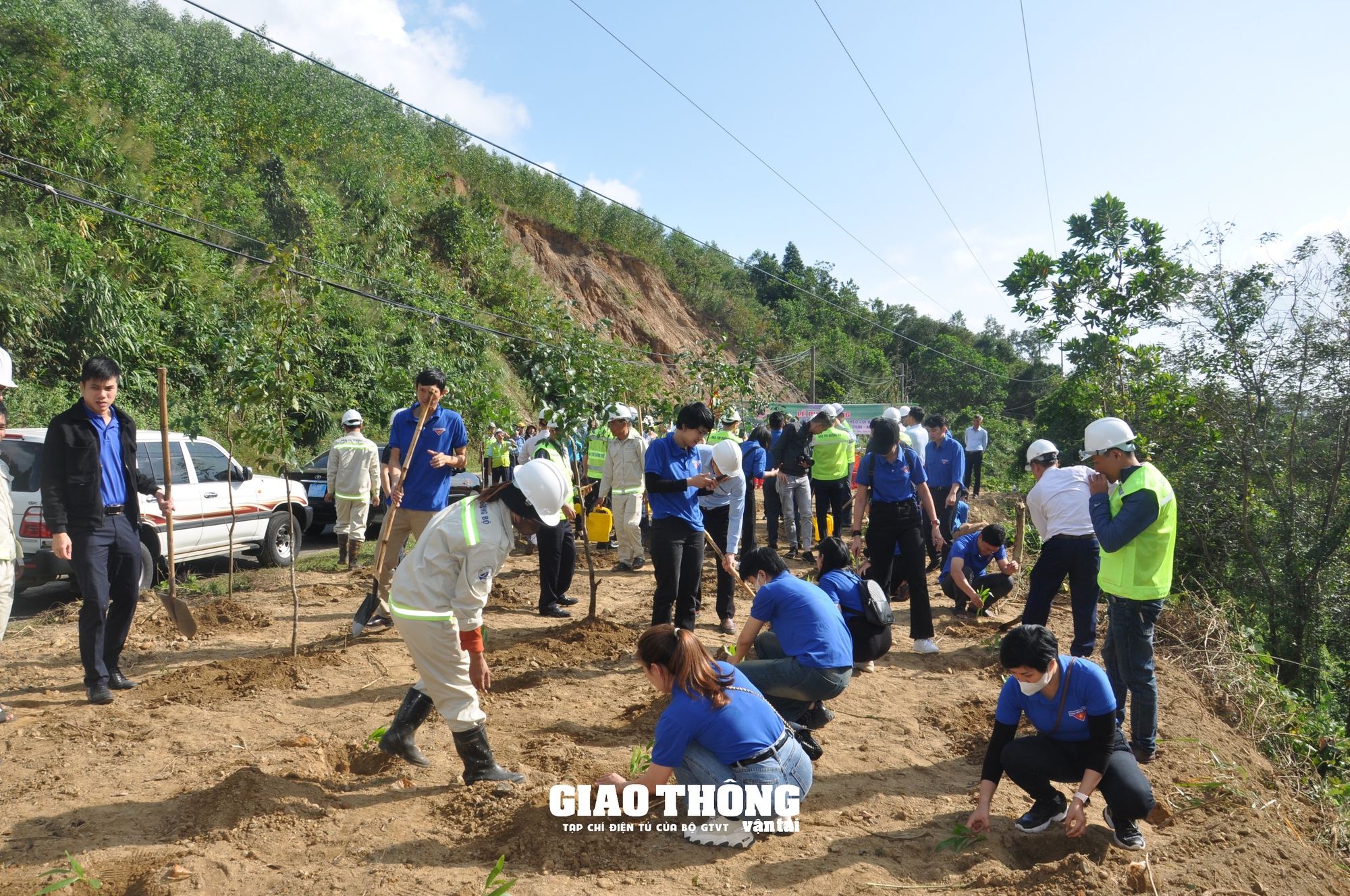 Ngành Đường bộ trồng cây xanh tạo hộ lan tự nhiên, nâng cao an toàn giao thông- Ảnh 10.