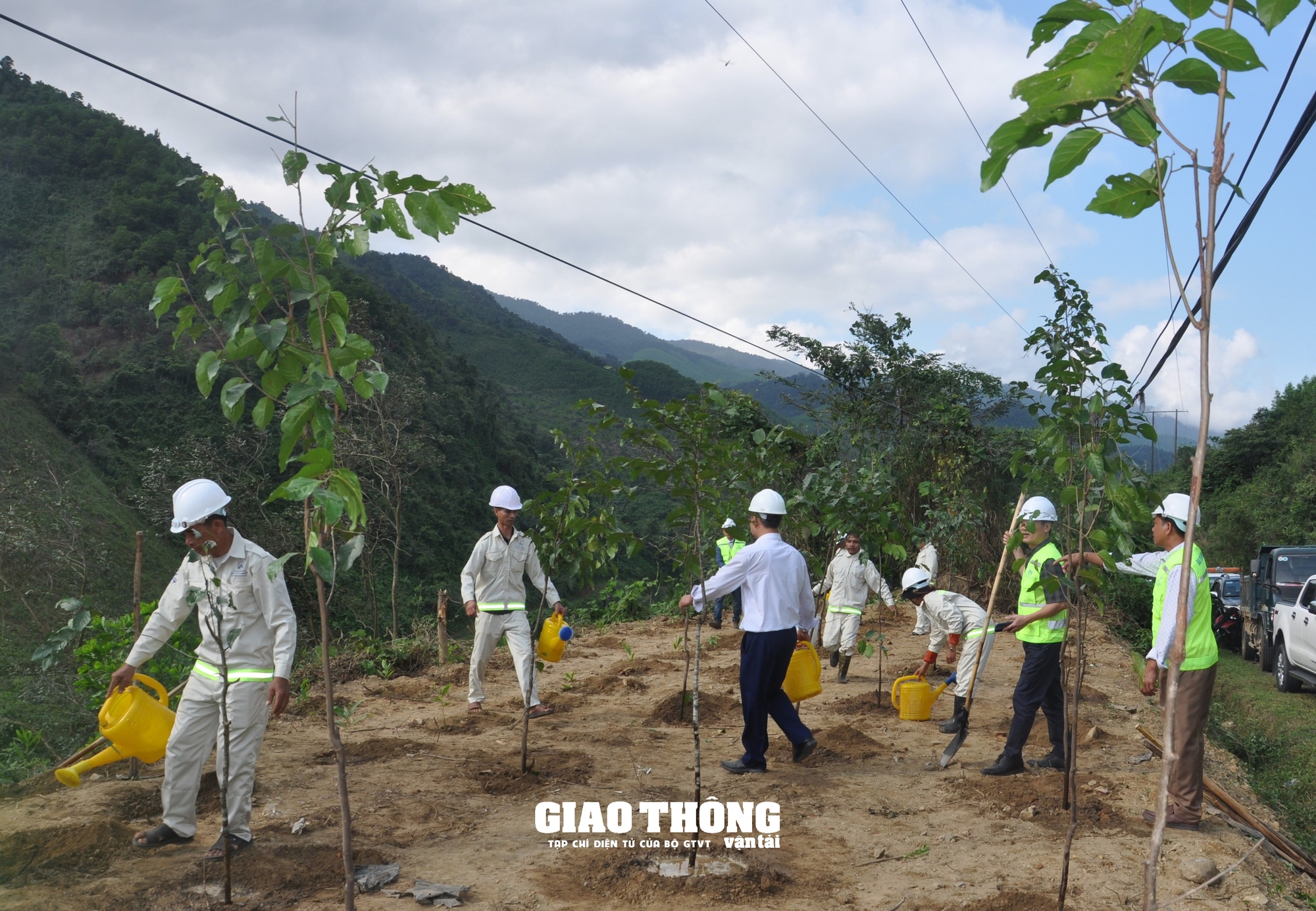 Ngành Đường bộ trồng cây xanh tạo hộ lan tự nhiên, nâng cao an toàn giao thông- Ảnh 5.