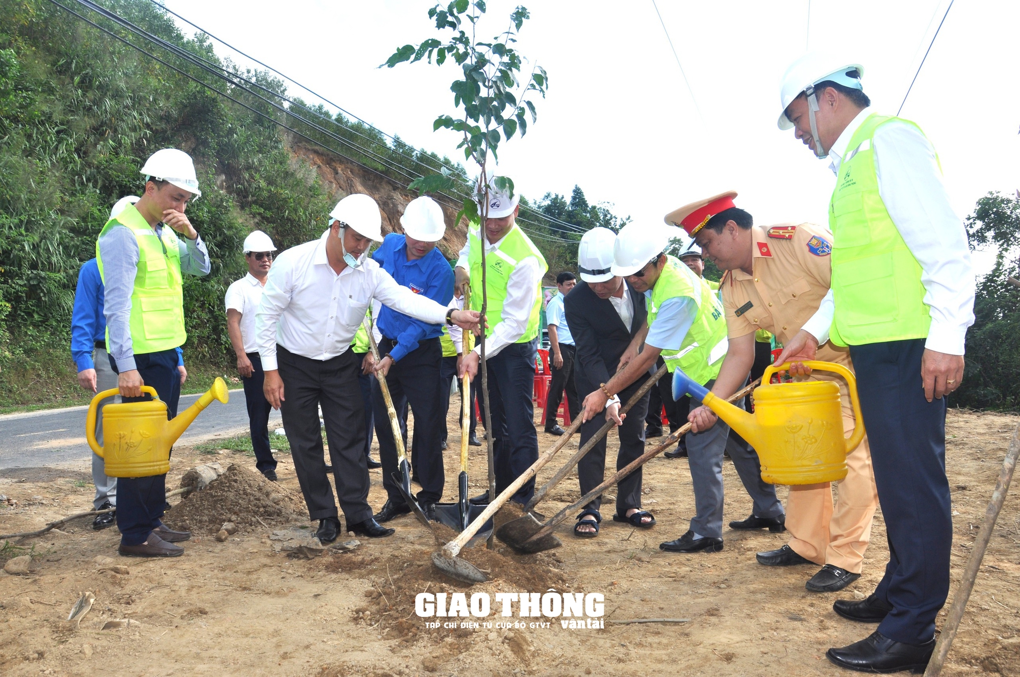 Ngành Đường bộ trồng cây xanh tạo hộ lan tự nhiên, nâng cao an toàn giao thông- Ảnh 1.