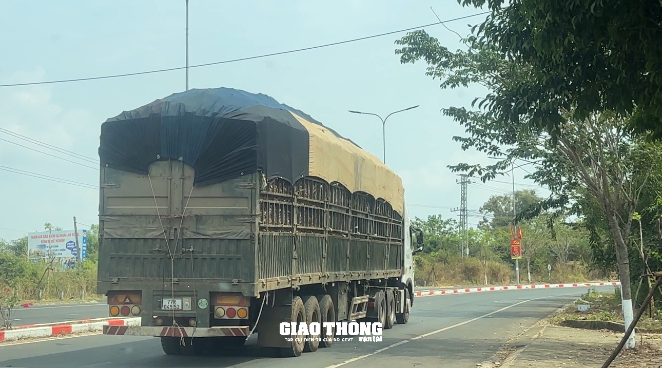 Xe tải chở mì có dấu hiệu quá tải, quá khổ dễ dàng Xe tải chở mì có dấu hiệu quá tải, quá khổ dễ dàng