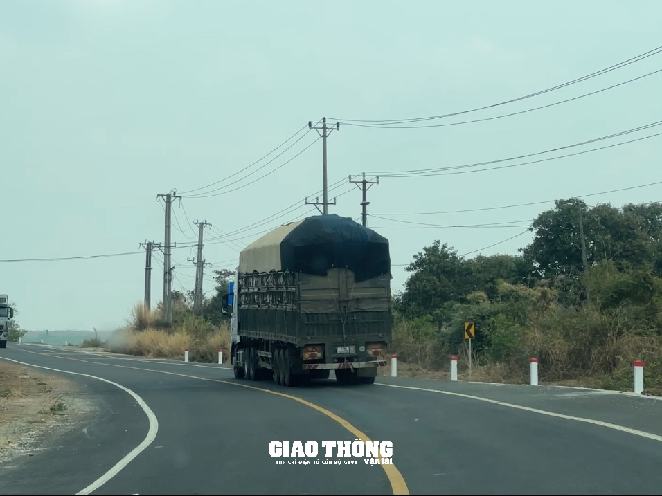 Xe tải chở mì có dấu hiệu quá tải, quá khổ dễ dàng Xe tải chở mì có dấu hiệu quá tải, quá khổ dễ dàng