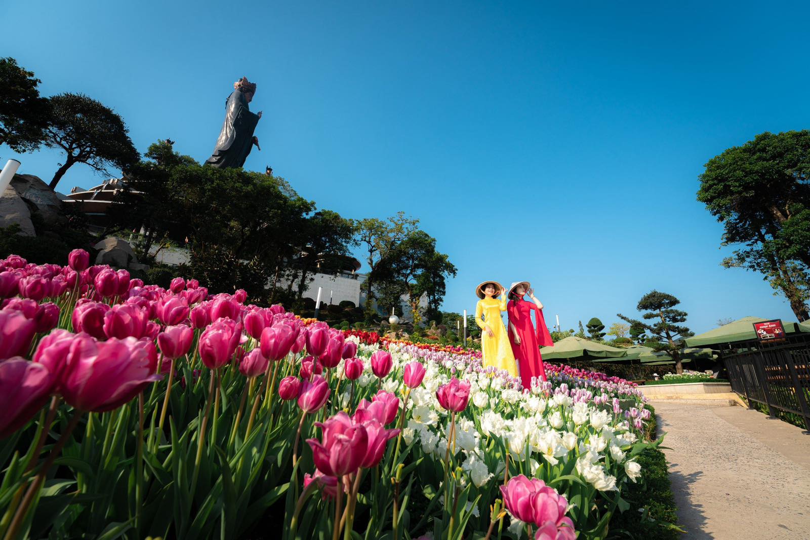 Chào mừng 8/3, các điểm du lịch cả nước sớm tấp nập du khách- Ảnh 5.