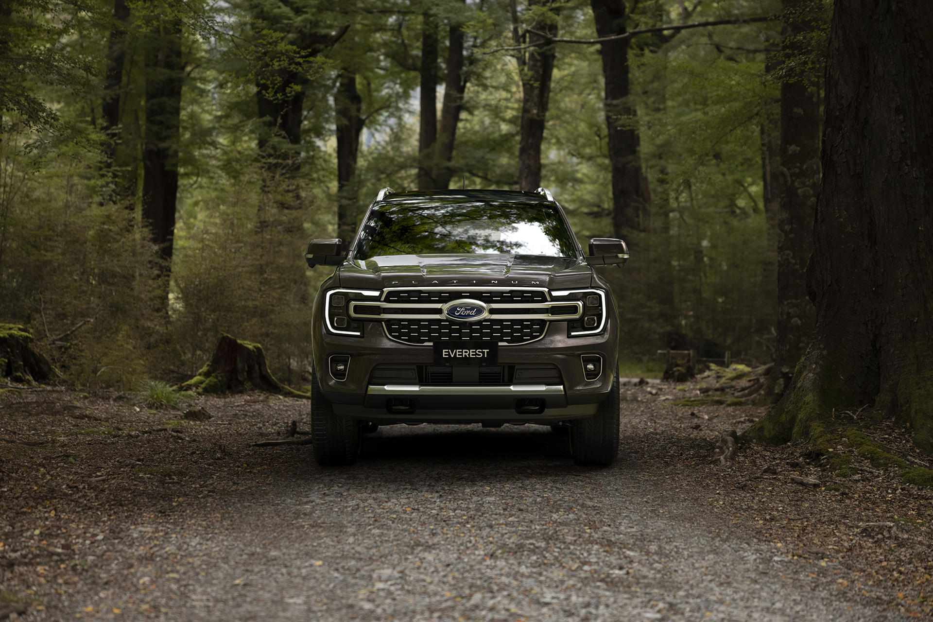 Everest Platinum, Ranger Stormtrak và bước ngoặt về trải nghiệm khách hàng của Ford- Ảnh 1.